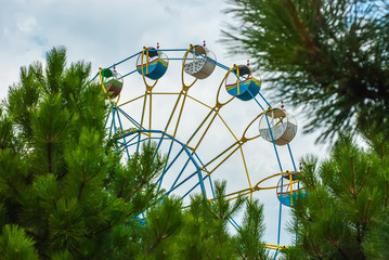 Ferris wheel among the branches of spruce