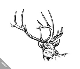 brush painting ink draw vector deer illustration
