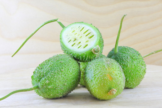Green Spiny Gourd