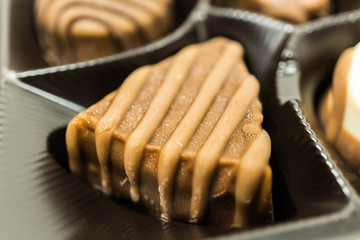 Assorted chocolate pralines, close up