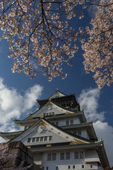 Fototapeta premium OSAKA IN JAPAN