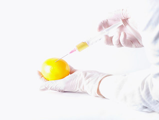 Scientist applying injection to fruit