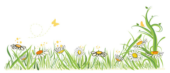 Colorful daisy field in spring time vector illustration