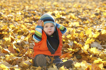 little boy outdoors autumn portrait