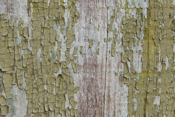 grunge wood texture, green, paint,