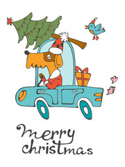 Merry Christmas. Amazing card with cute dog in Santas costume driving with Cristmas tree