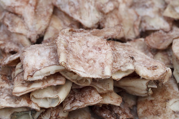 Fresh squid in tubes closeup