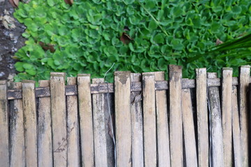 close up bamboo bridge and green leaf
