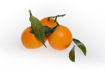 Three clementine mandarines with leaves on white background.