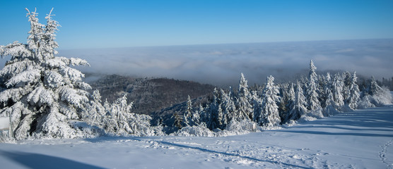 Zima na Jaworzynie Krynickiej 1114 m.n.p.m.