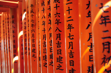Obraz premium Fushimi Inari-taisha-53
