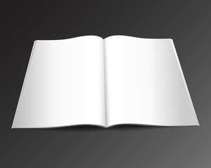 magazine vector mockup2