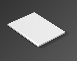 magazine vector mockup