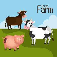 Farm fresh graphic