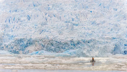 Handdoek met foto Gletsjers Glaciers and iceberg nature landscape in south America  © chaolik