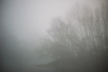 Dichter Nebel über dem Rhein