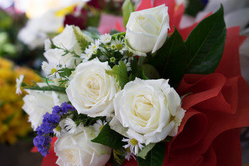 white rose bouquet, soft focus
