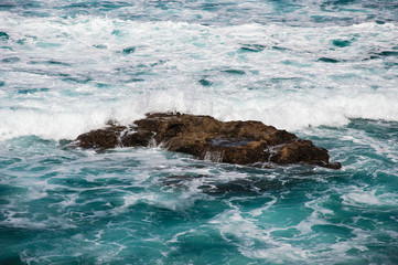 Obraz premium big wave 