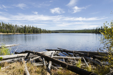 Ice Lake - Yellowstone National Park - Wyoming - USA