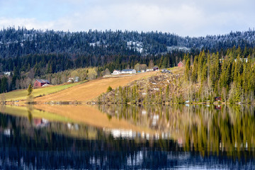 Spring is coming over the lake.