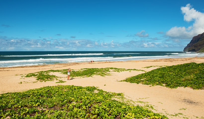 barking sands beach kauai hawaii