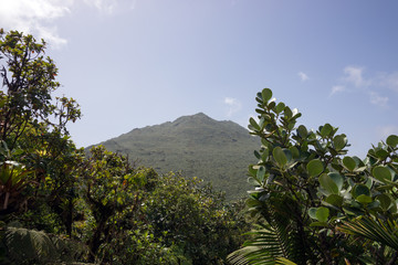 Obraz premium In den Bergen von Dominica
