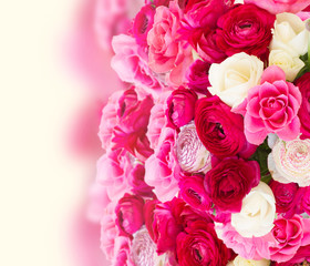 bunch of pink ranunculus flowers