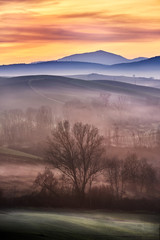 Fototapeta premium Tuscany in fog...
