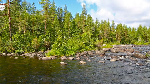 landscape with river and forest in Karelia
