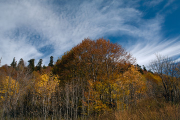 Fototapeta premium Autumn in the mountains of the North Caucasus. Sochi Region. Russia.