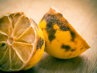 closeup old rotten lemon