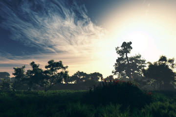 Wonderful Fairy Tale Magical Summer Field