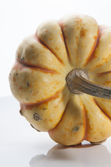 Close up View of Ornamental Gourd