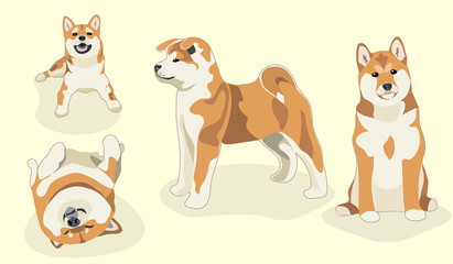 Funny dogs. stylized pets set in white.  Cute shiba inu dog