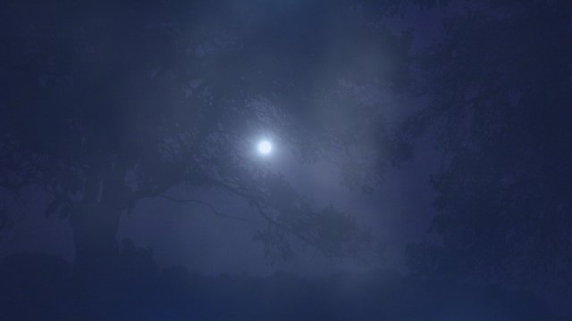 Fantasy spooky moonlight foggy night