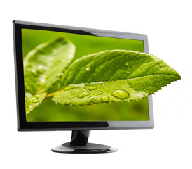 Image Resolution And Print Quality