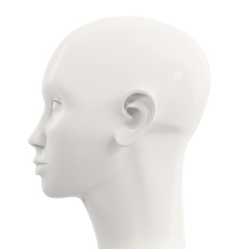 side view of white female mannequin head