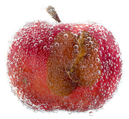 Red rotten apple with water bubbles isolated on white background