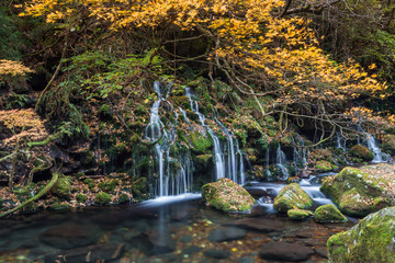 beautiful waterfall in forest, autumn landscape