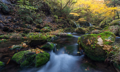 Naklejka na ściany i meble beautiful waterfall in forest, autumn landscape