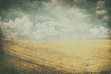 Fototapeta premium grunge image of green field and blue sky