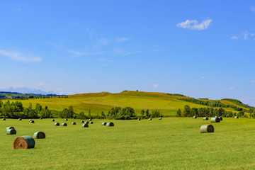 Scenic Farmland