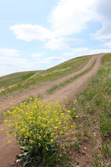 Steppe dirt road towards a hill top against a blue sky