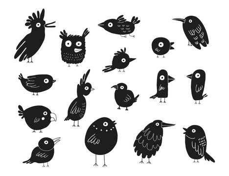 Birds silhouettes set, vector illustration