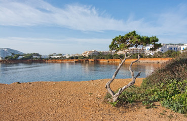 Fototapeta na wymiar Ibiza natural rock and ocean landscape