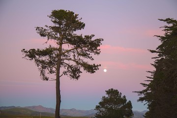 Fototapeta na wymiar Sunset and Moon
