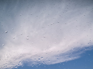 Rain on Window