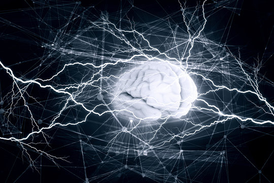 Digital human brain