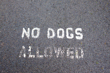Fototapeta premium No Dogs Allowed Stencil on Path