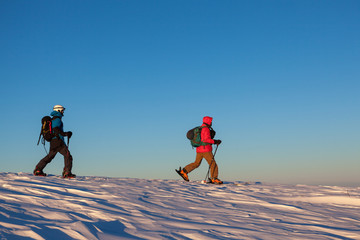 Two skiers walking snowy field
